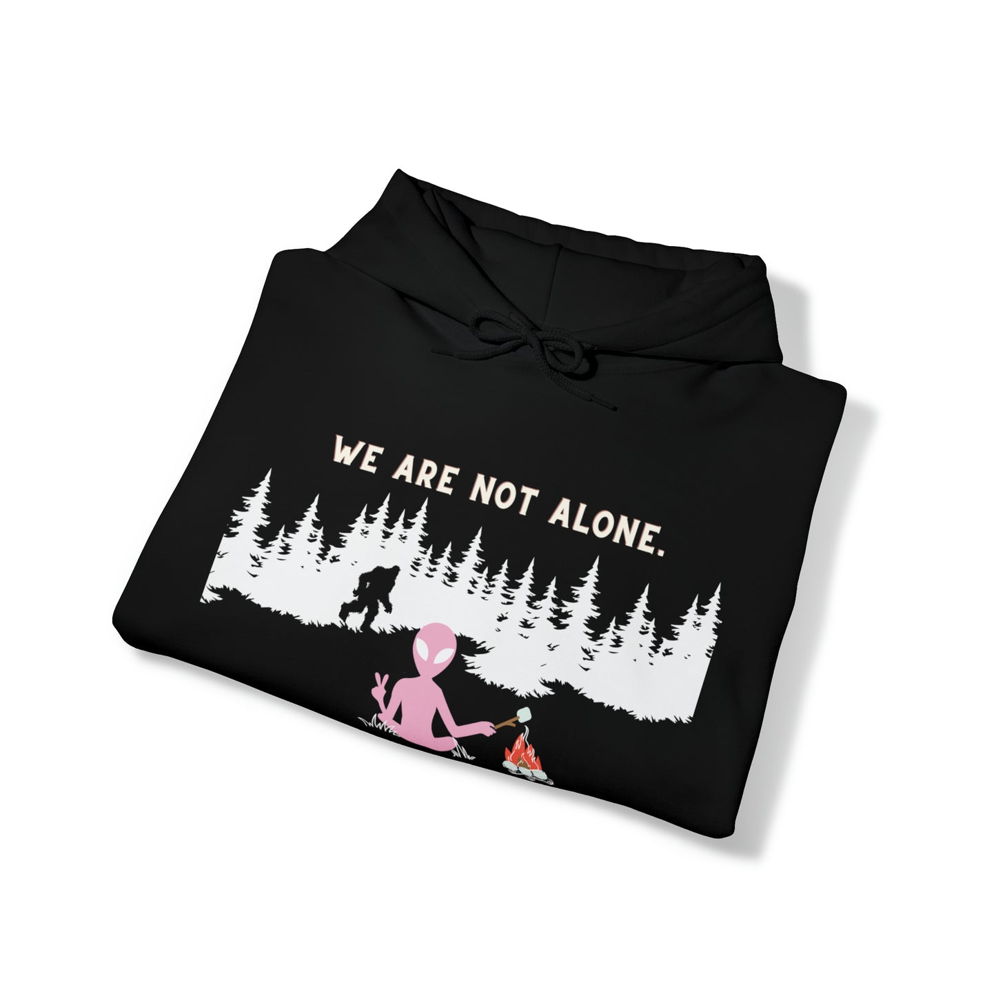 We Are Not Alone Hoodie